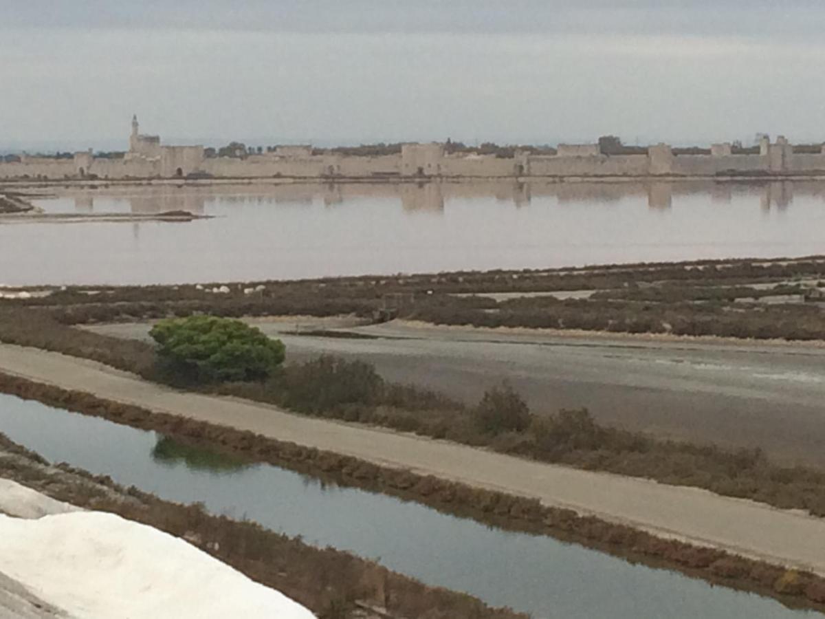 Maison Au Calme Avec Parking En Petite Camargue Beauvoisin  Экстерьер фото
